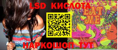 ГАЛЛЮЦИНОГЕННЫЕ ГРИБЫ Татарск