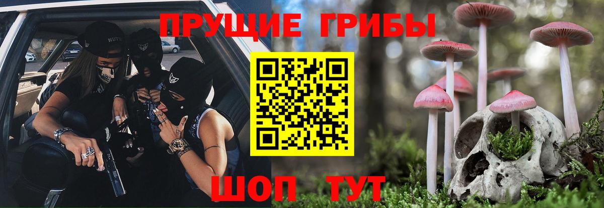 Галлюциногенные грибы Psilocybe Ноябрьск